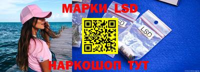 apvp Камышлов
