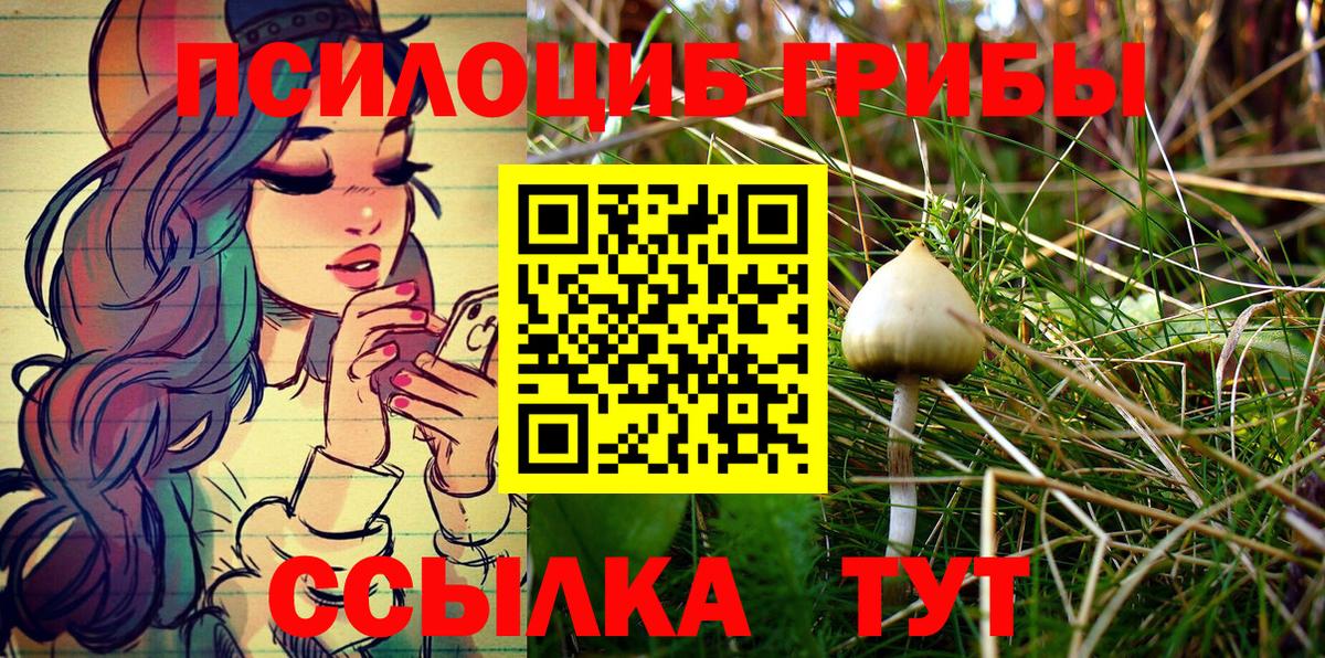 Галлюциногенные грибы GOLDEN TEACHER Киров