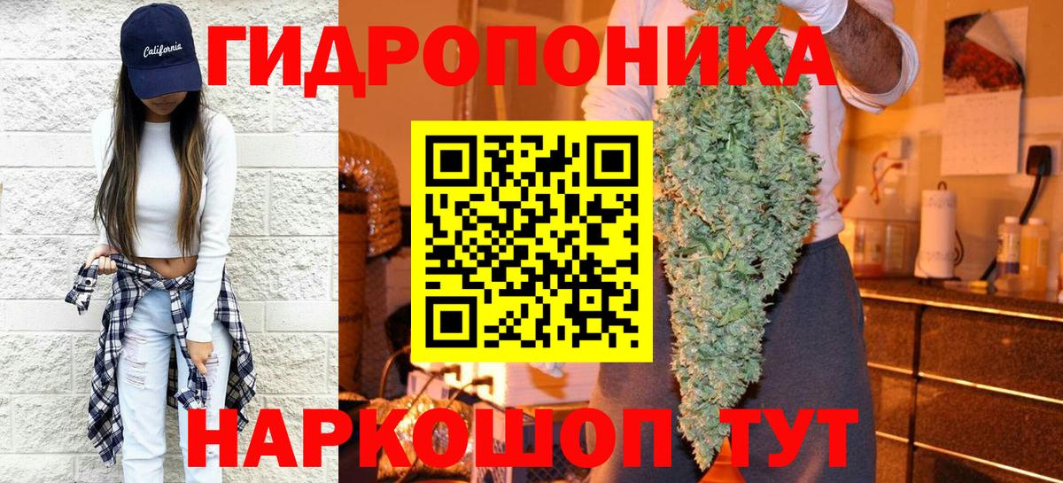 Шишки марихуана марихуана  Вход с VPN  Киров  Бошки марихуана Ganja  Бошки марихуана планчик  Канабис план 